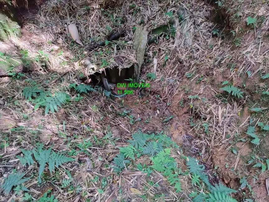 Foto 8 de Sítio / Rancho com 2 quartos à venda, 500m2 em Juquitiba - SP
