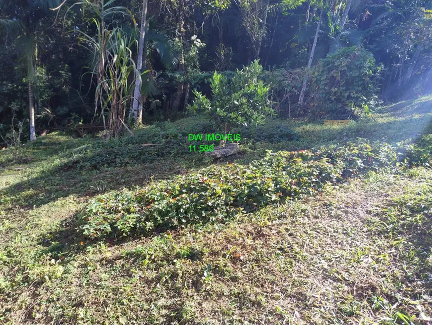 Foto 7 de Chácara com 1 quarto à venda, 100m2 em Miracatu - SP