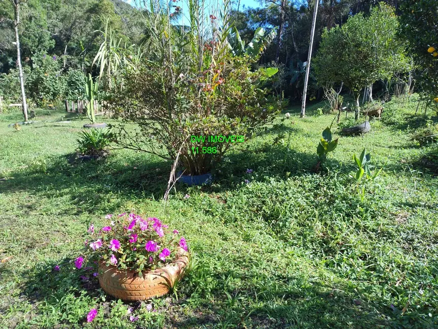 Foto 4 de Chácara com 1 quarto à venda, 100m2 em Miracatu - SP