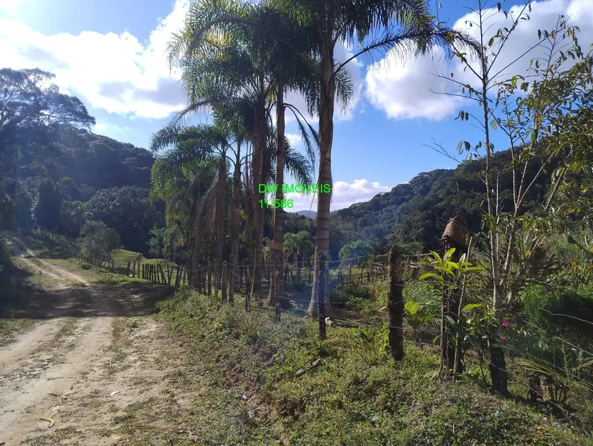 Foto 3 de Sítio / Rancho com 2 quartos à venda, 150m2 em Juquitiba - SP