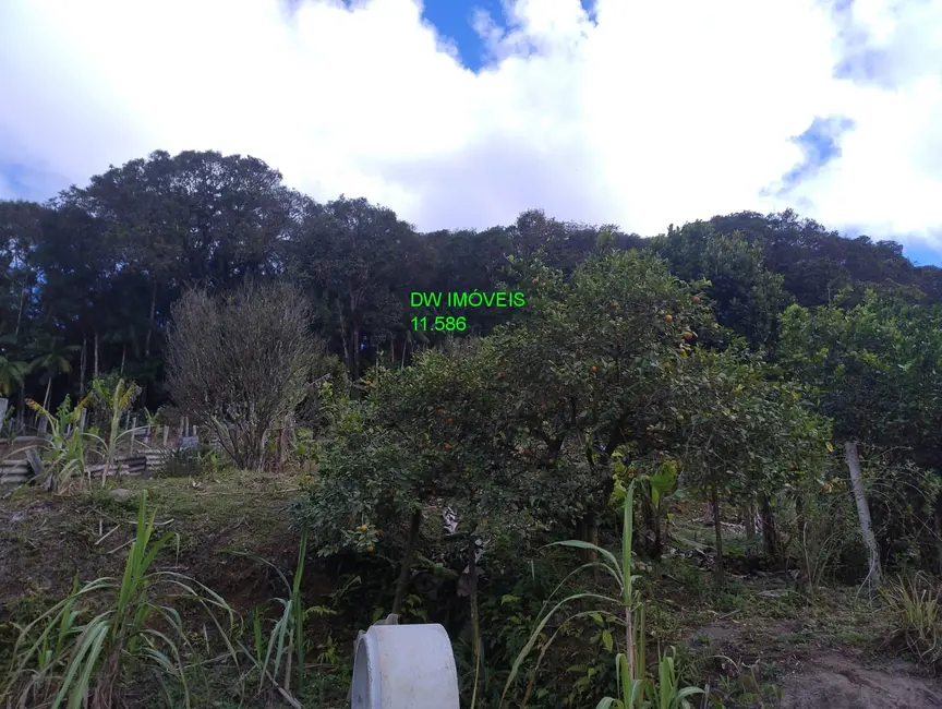 Foto 4 de Chácara com 1 quarto à venda, 100m2 em Juquitiba - SP