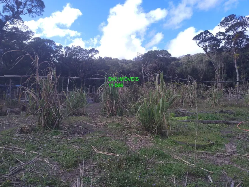 Foto 9 de Sítio / Rancho com 1 quarto à venda, 100m2 em Juquitiba - SP