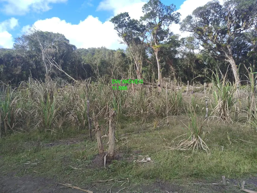 Foto 3 de Sítio / Rancho com 1 quarto à venda, 100m2 em Juquitiba - SP