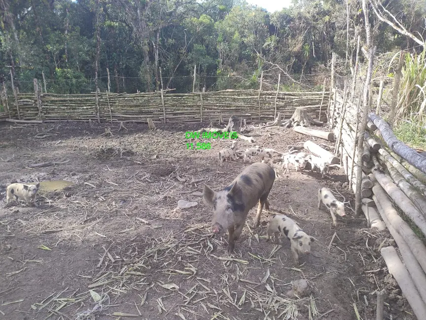 Foto 2 de Sítio / Rancho com 1 quarto à venda, 100m2 em Juquitiba - SP