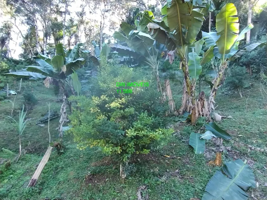 Foto 4 de Chácara com 3 quartos à venda, 250m2 em Juquitiba - SP