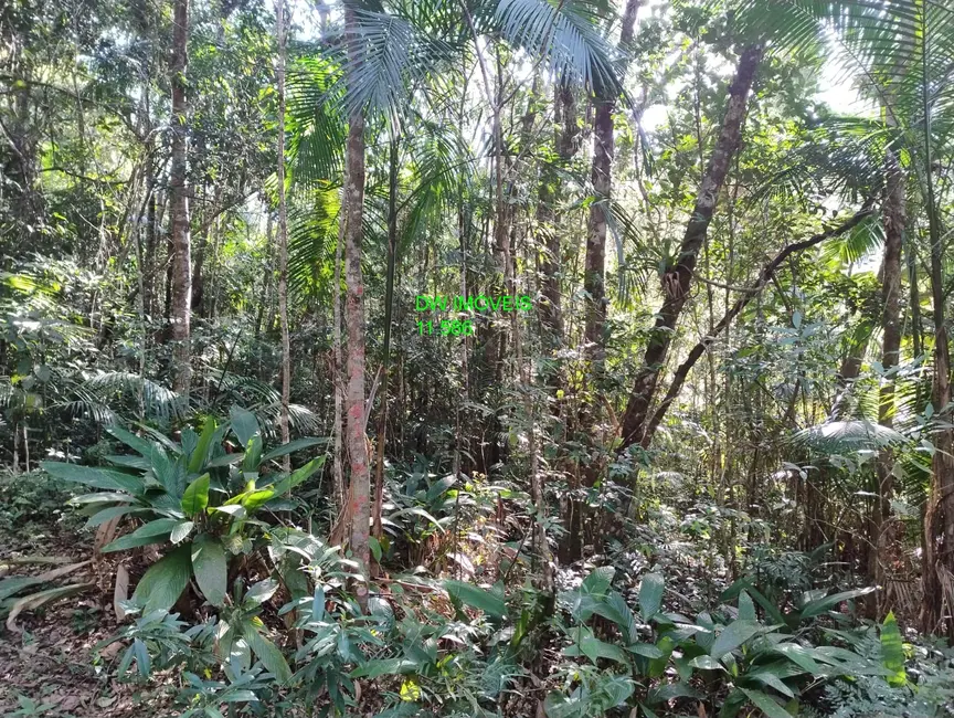 Foto 6 de Terreno / Lote à venda, 20000m2 em Juquitiba - SP
