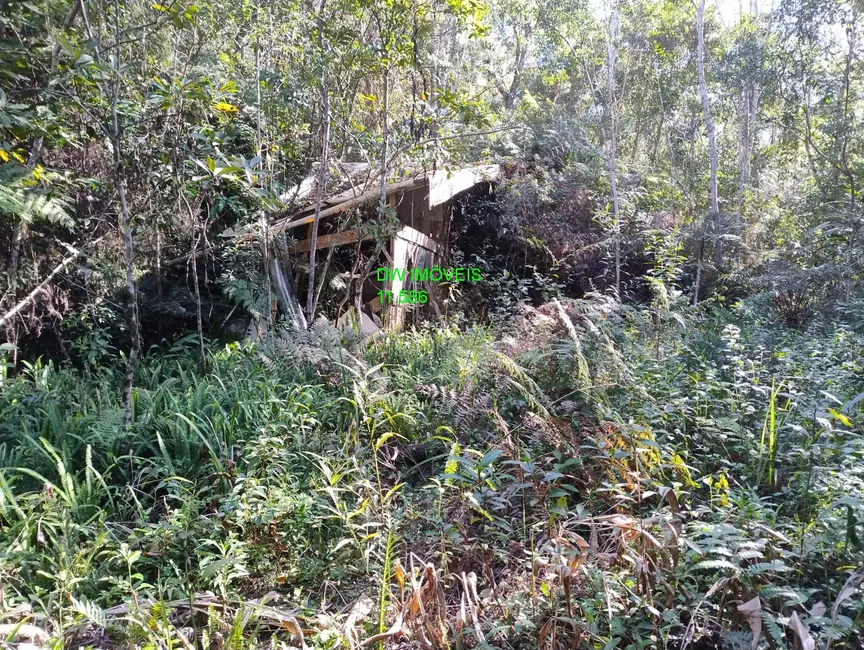 Foto 4 de Terreno / Lote à venda, 20000m2 em Juquitiba - SP