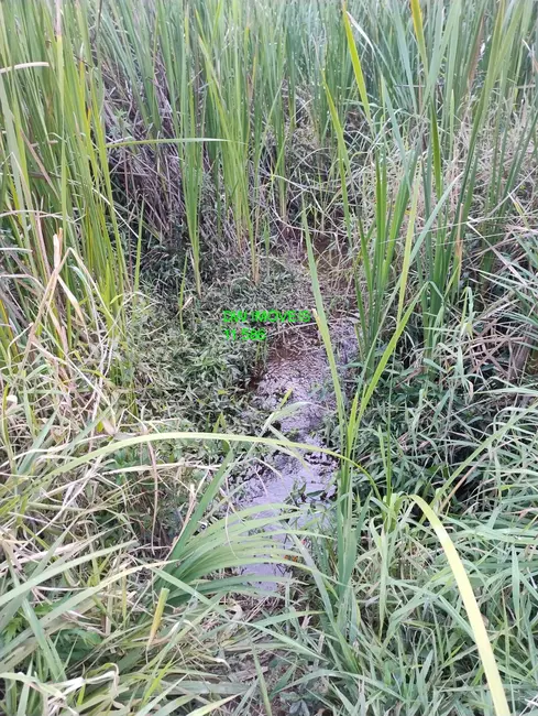 Foto 1 de Terreno / Lote à venda, 20000m2 em Juquitiba - SP