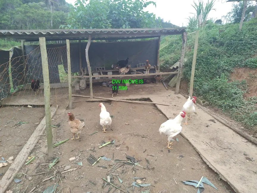 Foto 6 de Chácara com 3 quartos à venda, 150m2 em Juquitiba - SP