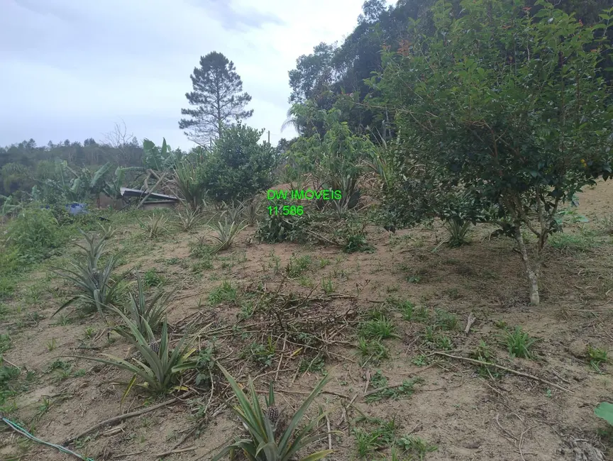 Foto 2 de Chácara com 3 quartos à venda, 150m2 em Juquitiba - SP