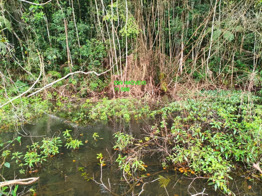 Foto 3 de Sítio / Rancho com 2 quartos à venda, 250m2 em Palmeiras, Juquitiba - SP