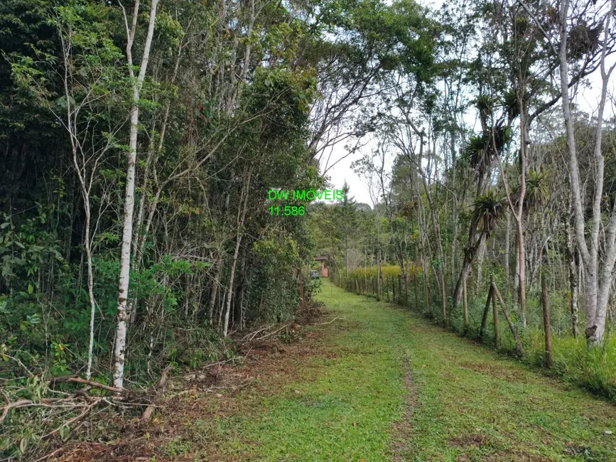 Foto 6 de Sítio / Rancho com 2 quartos à venda, 250m2 em Palmeiras, Juquitiba - SP