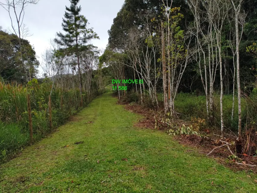 Foto 2 de Sítio / Rancho com 2 quartos à venda, 250m2 em Palmeiras, Juquitiba - SP