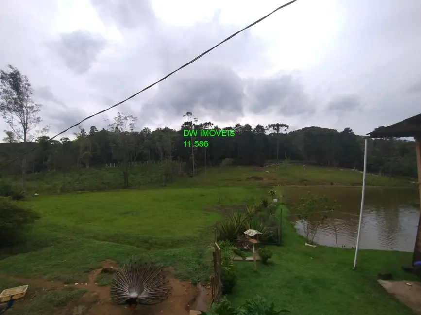Foto 4 de Chácara com 3 quartos à venda, 400m2 em Juquitiba - SP