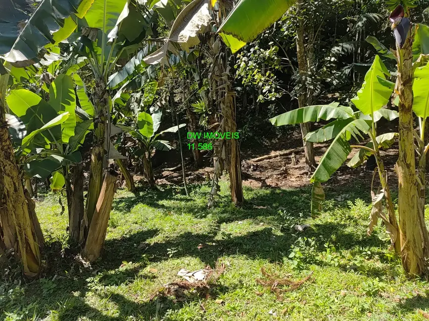 Foto 7 de Chácara com 2 quartos à venda, 150m2 em Juquitiba - SP