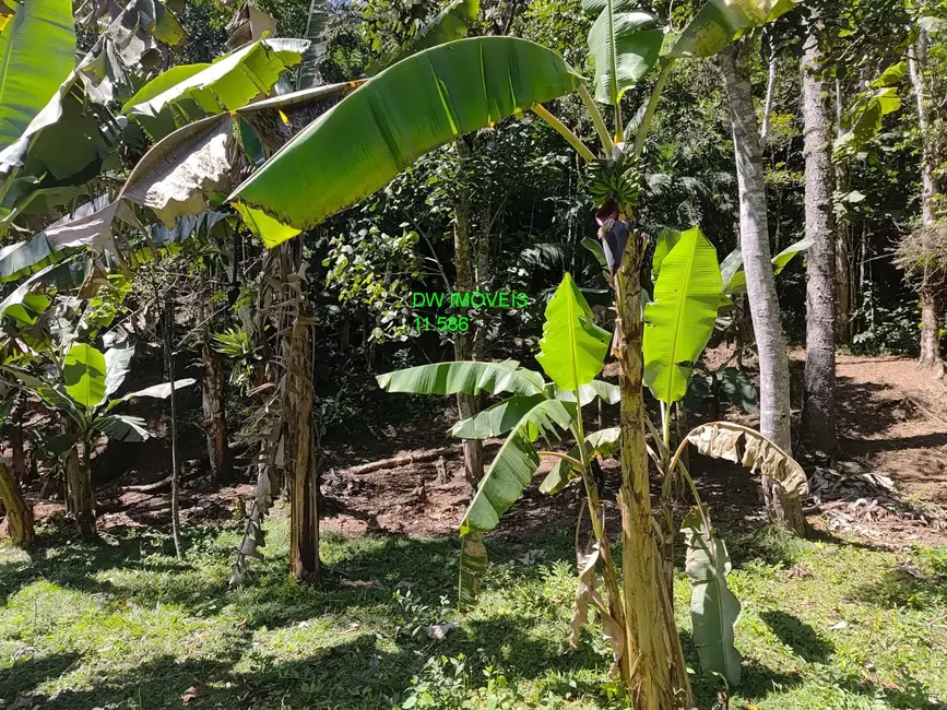 Foto 5 de Chácara com 2 quartos à venda, 150m2 em Juquitiba - SP