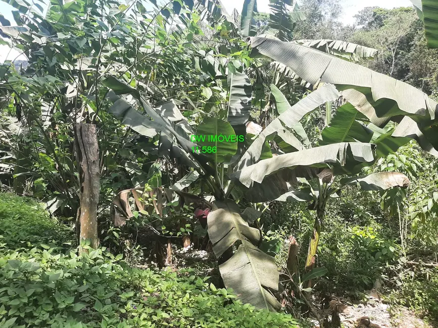 Foto 6 de Terreno / Lote à venda, 7000m2 em Miracatu - SP