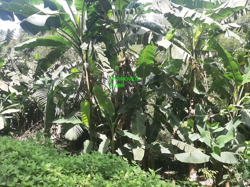 Foto 4 de Terreno / Lote à venda, 7000m2 em Miracatu - SP