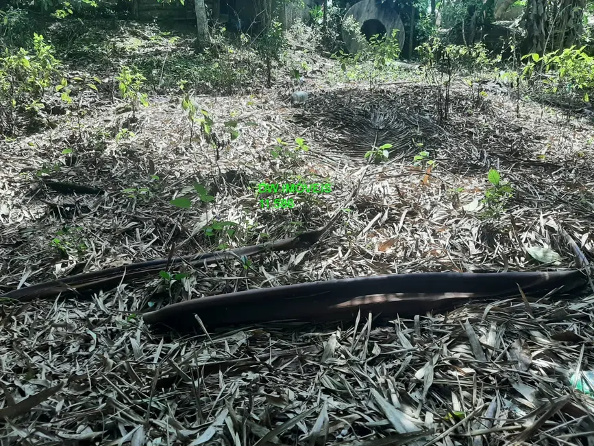 Foto 7 de Terreno / Lote à venda, 7000m2 em Miracatu - SP