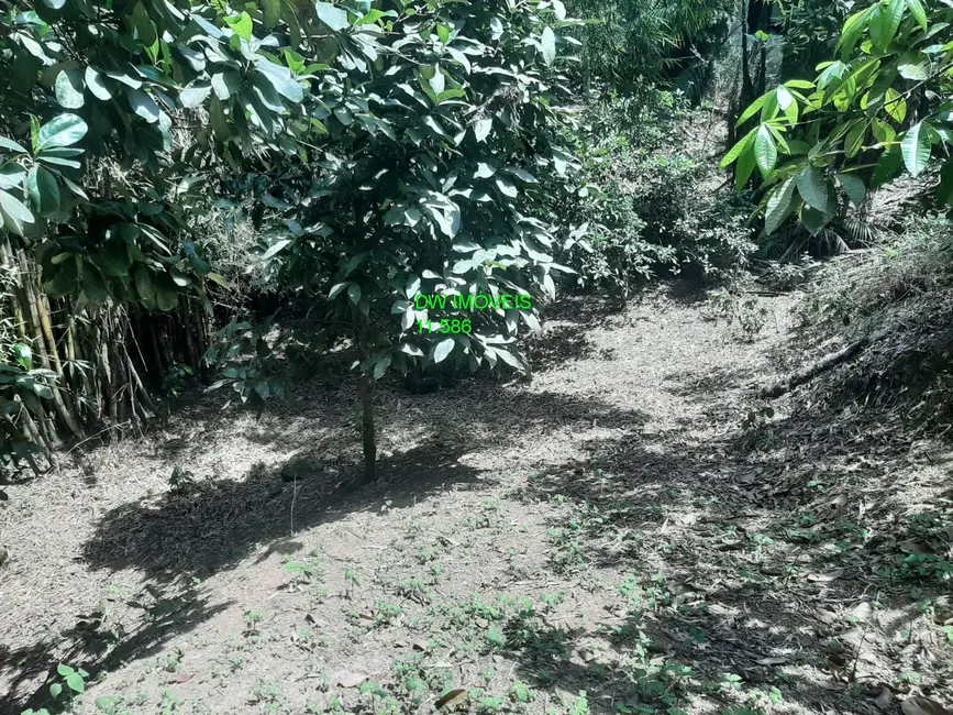 Foto 3 de Terreno / Lote à venda, 7000m2 em Miracatu - SP
