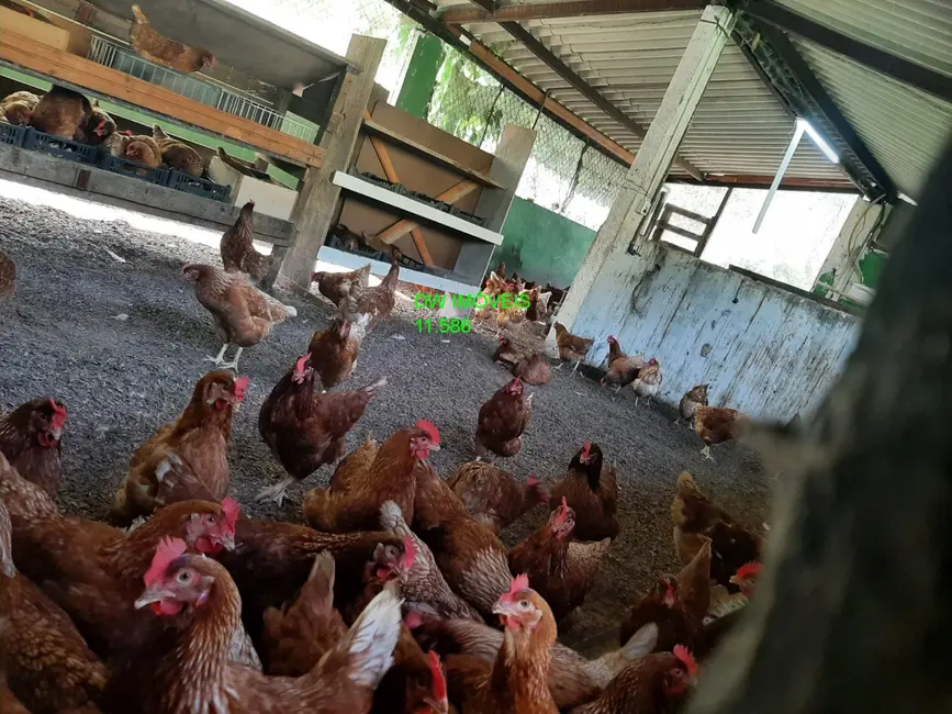 Foto 4 de Fazenda / Haras com 2 quartos à venda, 2000m2 em Miracatu - SP