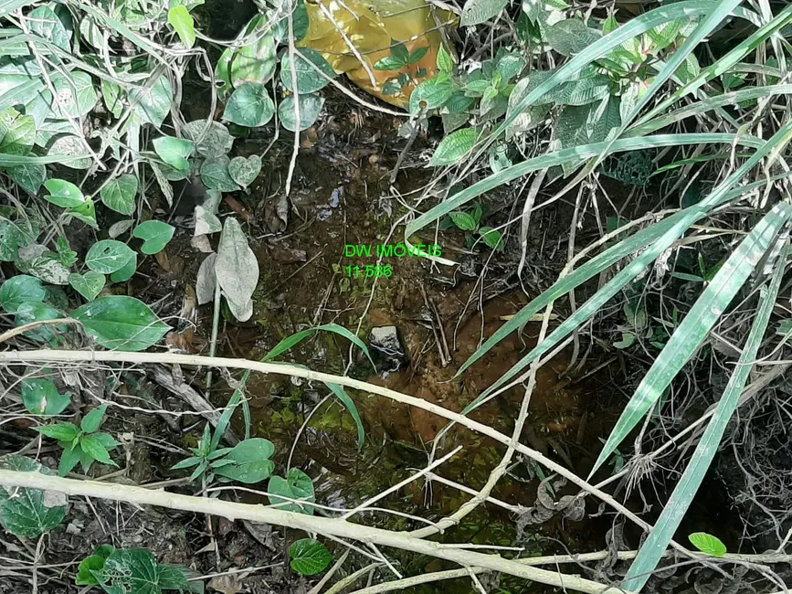 Foto 1 de Chácara com 1 quarto à venda, 150m2 em Miracatu - SP