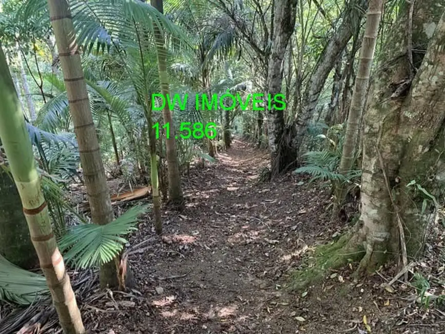 Foto 3 de Chácara com 1 quarto à venda, 100m2 em Miracatu - SP