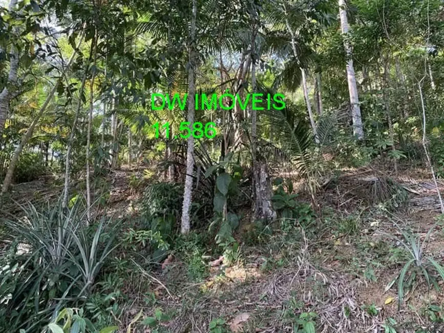 Foto 7 de Chácara com 1 quarto à venda, 100m2 em Miracatu - SP