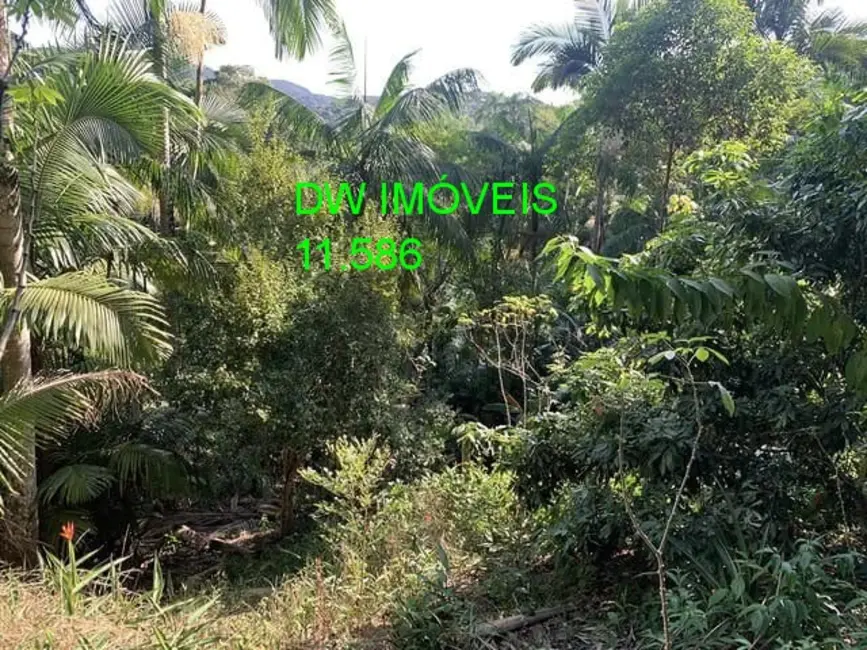 Foto 2 de Chácara com 1 quarto à venda, 100m2 em Miracatu - SP