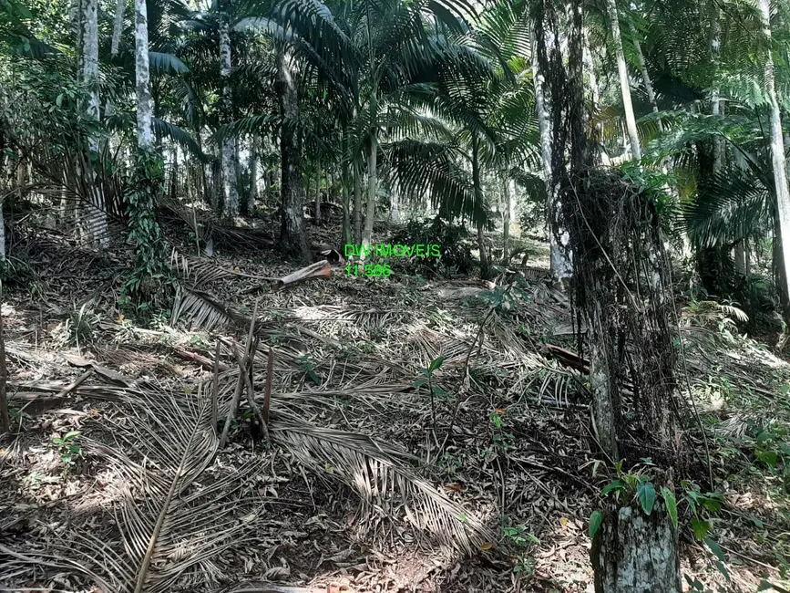 Foto 6 de Chácara com 1 quarto à venda, 100m2 em Miracatu - SP
