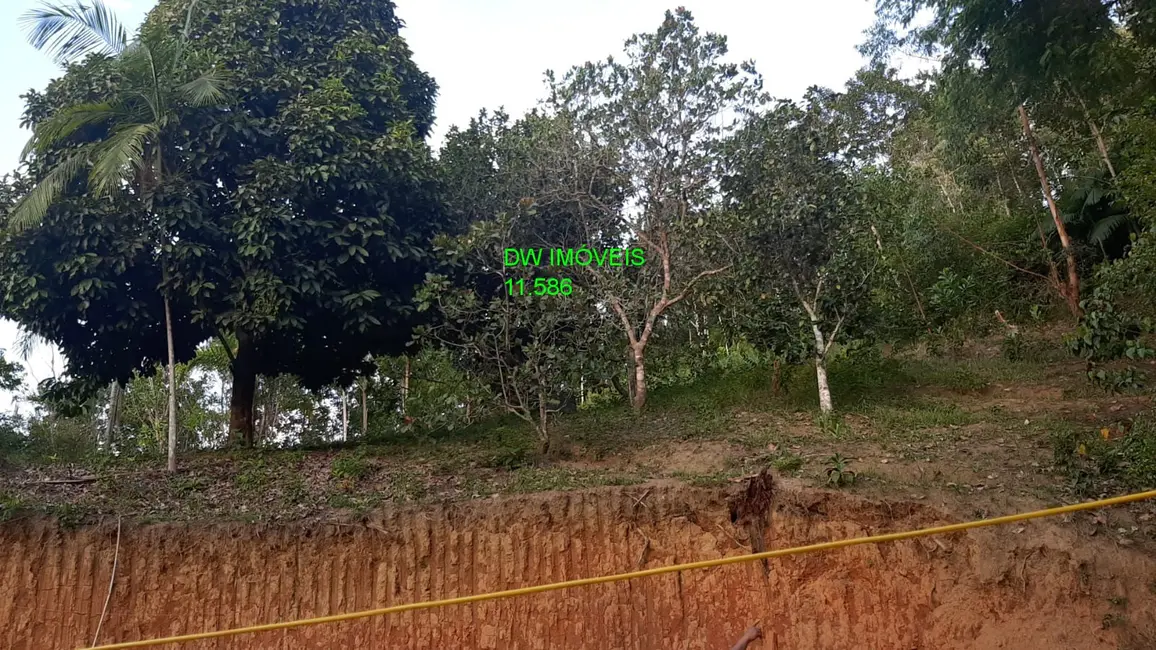 Foto 6 de Chácara com 2 quartos à venda, 100m2 em Miracatu - SP