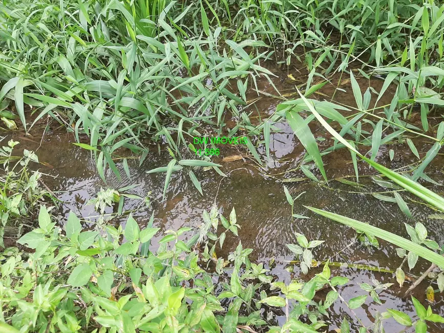 Foto 1 de Chácara com 2 quartos à venda, 100m2 em Miracatu - SP