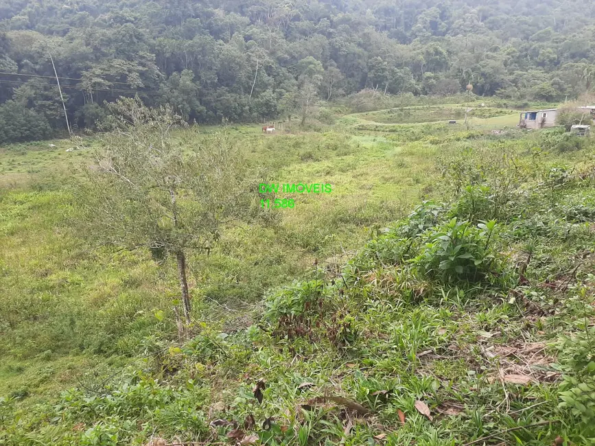 Foto 7 de Sítio / Rancho com 2 quartos à venda, 250m2 em Miracatu - SP