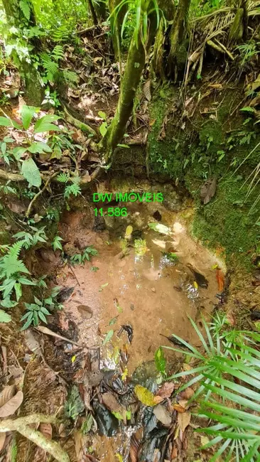 Foto 1 de Sítio / Rancho com 2 quartos à venda, 100m2 em Juquitiba - SP