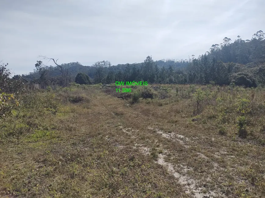 Foto 7 de Terreno / Lote à venda, 4500m2 em Juquitiba - SP