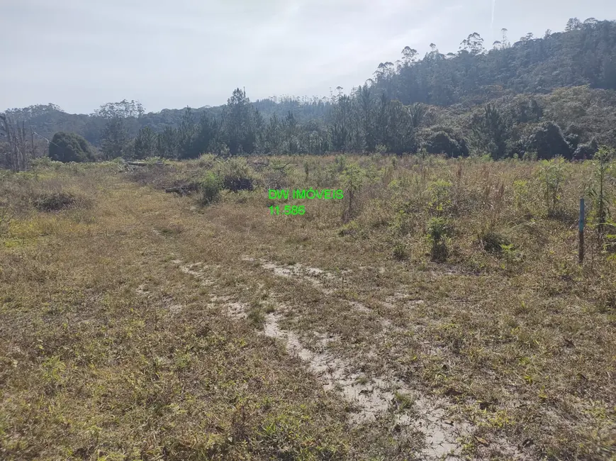 Foto 2 de Terreno / Lote à venda, 4500m2 em Juquitiba - SP