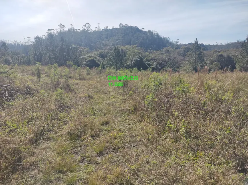 Foto 3 de Terreno / Lote à venda, 4500m2 em Juquitiba - SP