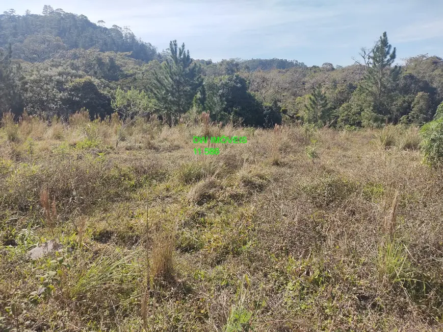 Foto 6 de Terreno / Lote à venda, 4500m2 em Juquitiba - SP