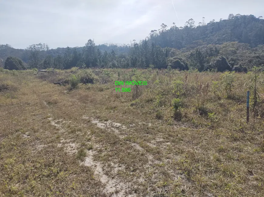 Foto 5 de Terreno / Lote à venda, 4500m2 em Juquitiba - SP