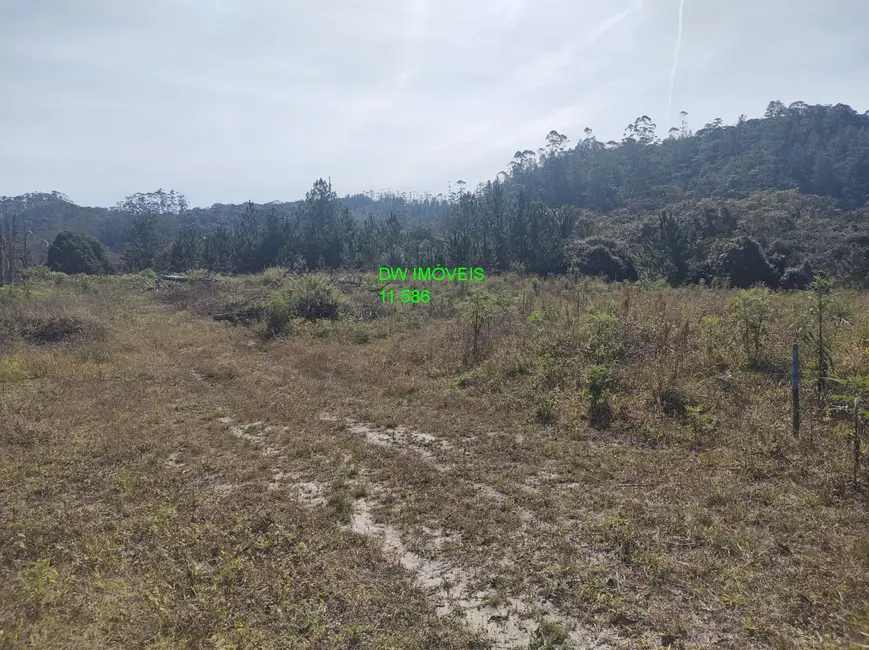 Foto 8 de Terreno / Lote à venda, 4500m2 em Juquitiba - SP