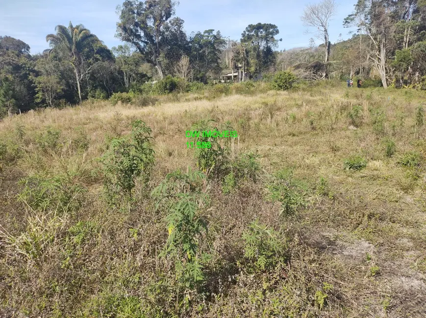 Foto 4 de Terreno / Lote à venda, 4500m2 em Juquitiba - SP