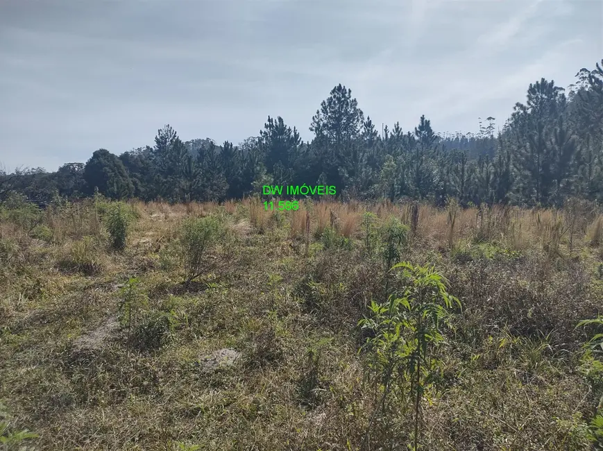 Foto 1 de Terreno / Lote à venda, 4500m2 em Juquitiba - SP