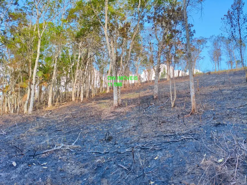 Foto 9 de Terreno / Lote à venda, 1000m2 em Juquitiba - SP