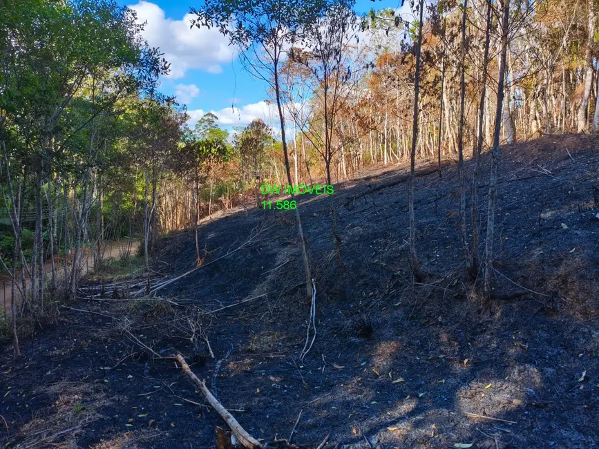 Foto 8 de Terreno / Lote à venda, 1000m2 em Juquitiba - SP