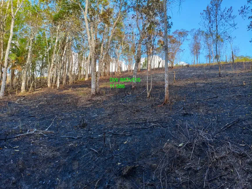 Foto 1 de Terreno / Lote à venda, 1000m2 em Juquitiba - SP
