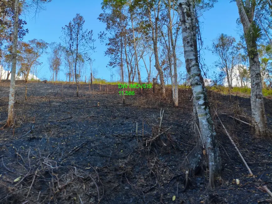 Foto 7 de Terreno / Lote à venda, 1000m2 em Juquitiba - SP