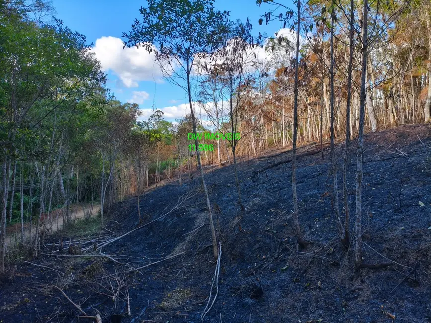 Foto 4 de Terreno / Lote à venda, 1000m2 em Juquitiba - SP