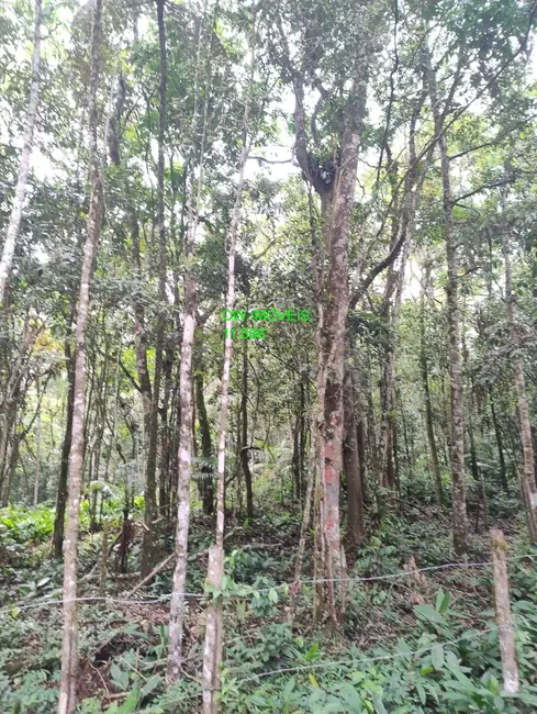 Foto 1 de Terreno / Lote à venda, 1000m2 em Juquitiba - SP