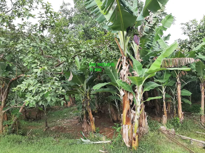 Foto 3 de Chácara com 1 quarto à venda, 100m2 em Miracatu - SP