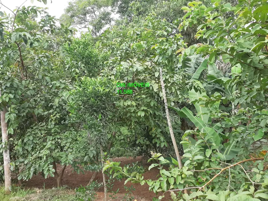 Foto 8 de Chácara com 1 quarto à venda, 100m2 em Miracatu - SP